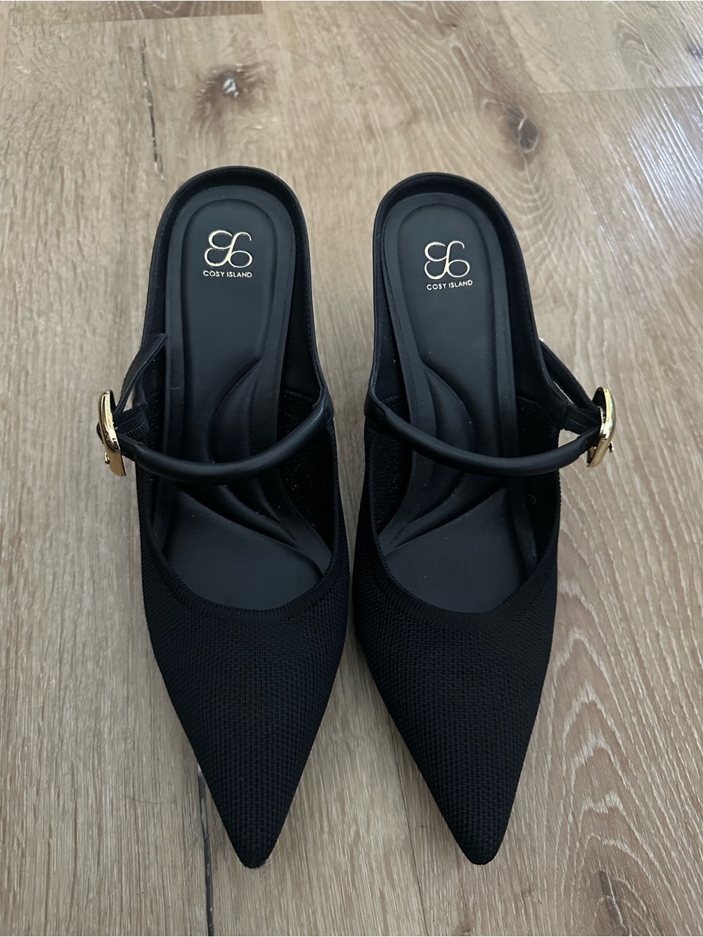 Cosy Island Black Pointed Mary Jane Mules